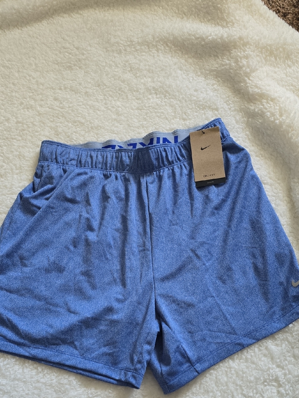Nike Blue Athletic Shorts